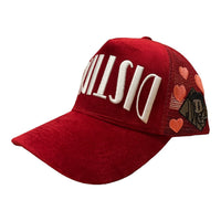 DisTrucker Hat